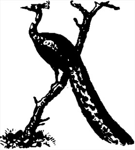 Bogstaver dyreskrift X