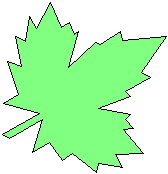 Blad 6
