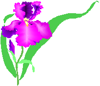 Blomst 63