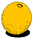 Appelsin 2 frugt