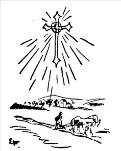 Artikel billede