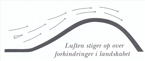 Artikel billede
