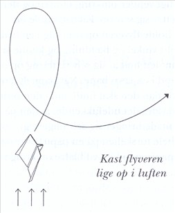 Artikel billede