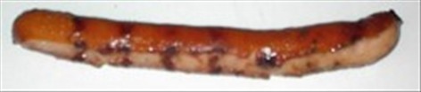 pølseABC - Pølseslang - pølseparlør - sausage phrase book