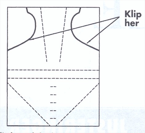 Artikel billede