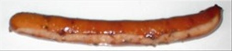 pølseABC - Pølseslang - pølseparlør - sausage phrase book