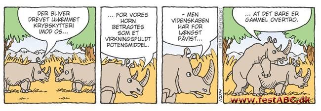06-06